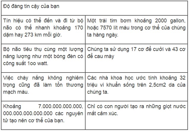 Tiếng anh lớp 10. Unit 2. Your body and you. Language