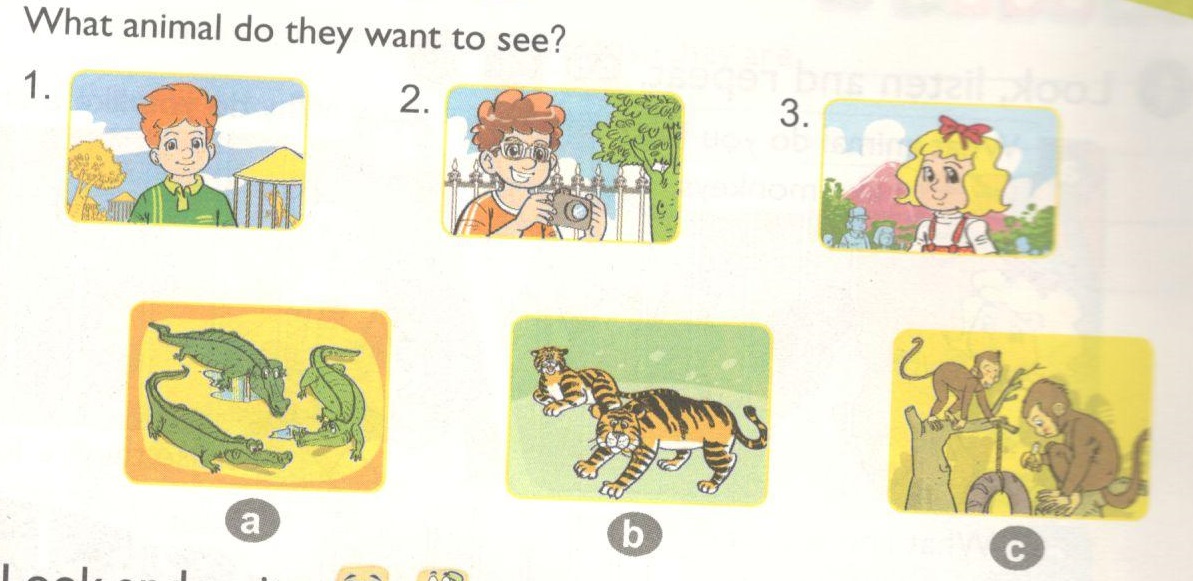 Tiếng anh lớp 4. Unit 19: What animal do you want to see? - Lesson 1