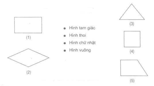 Giải Vở Bài Tập Toán Lớp 4 Bài 133. Hình Thoi - Trungcapluatbmt.Edu.Vn